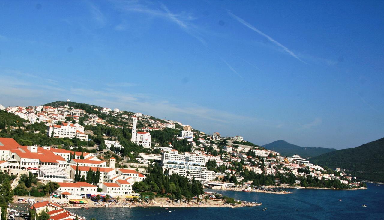 Zenit Neum